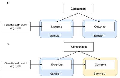 Use of Mendelian Randomization to Examine Causal Inference in Osteoporosis